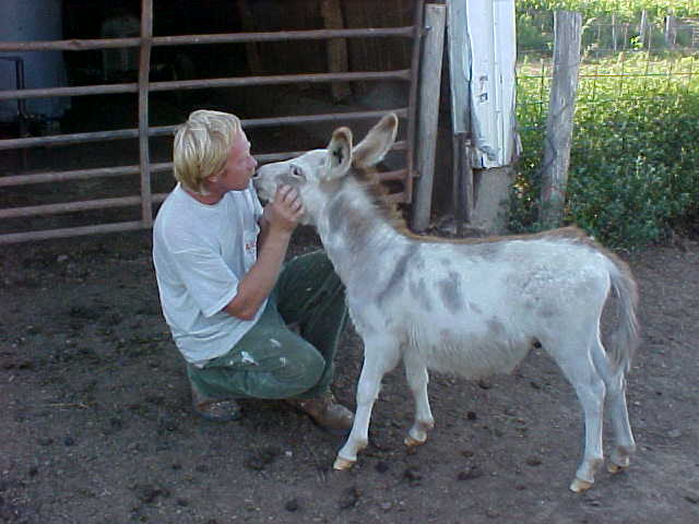 A Kiss