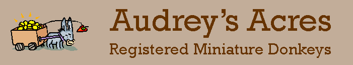 Audrey's Acres
