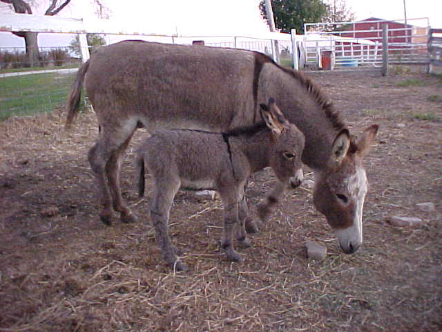 Sebastian With Mom