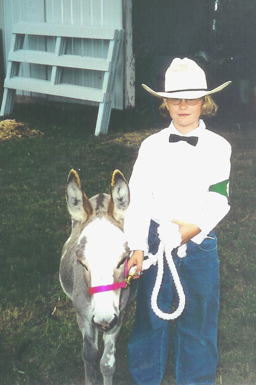 County Fair